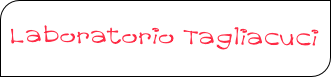 Laboratorio Tagliacuci